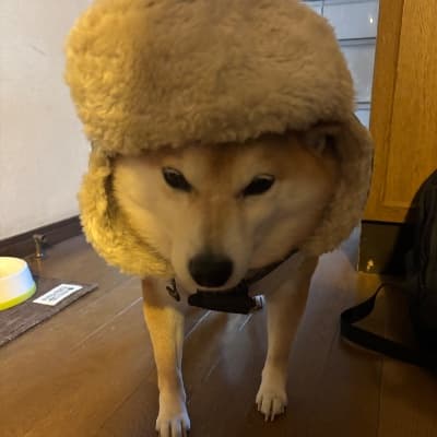 しん